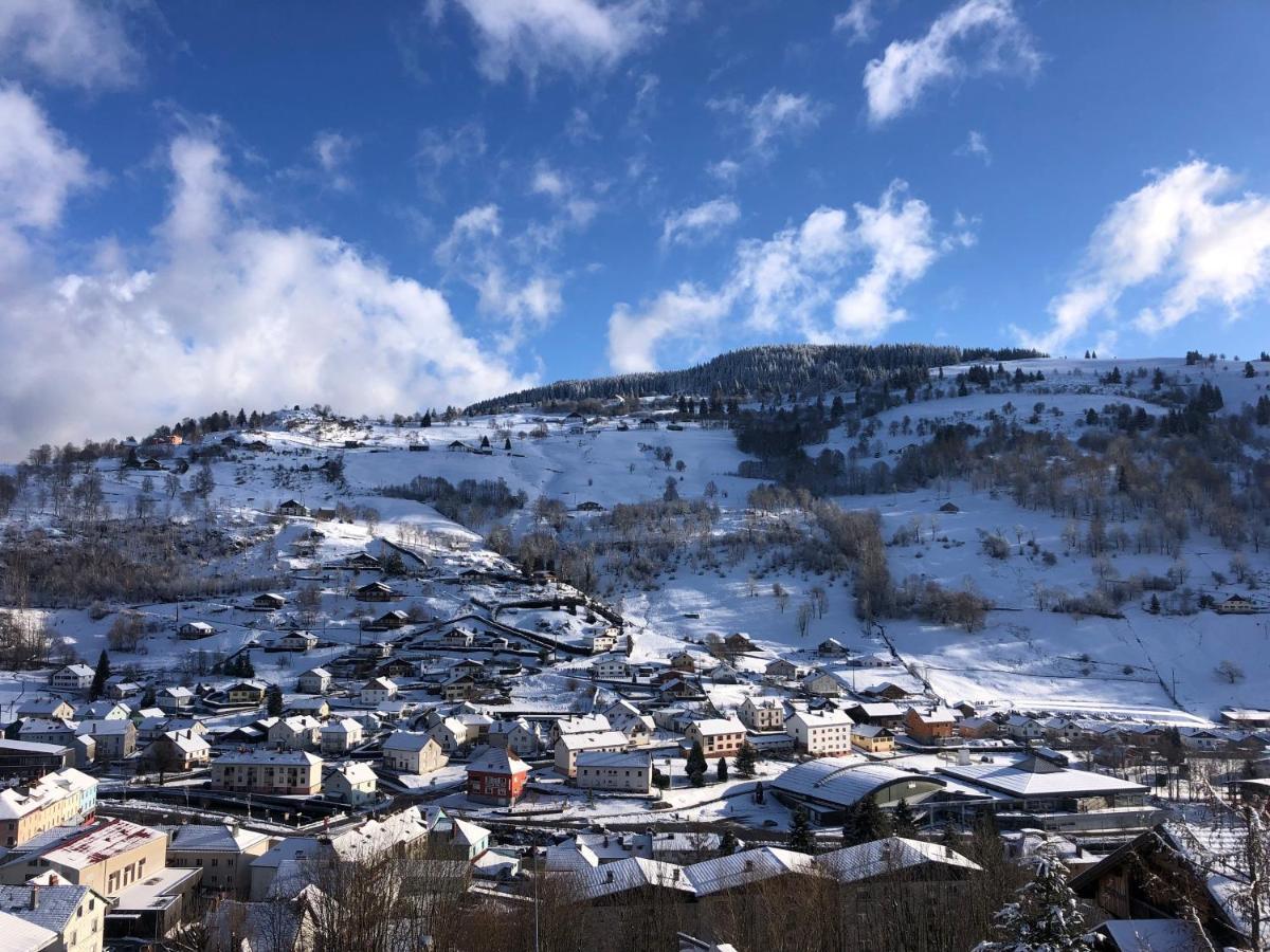 Magnifique Appartement Classe 4 Etoiles Avec Sauna Et Terrasse Dans Chalet ラ・ブレス エクステリア 写真